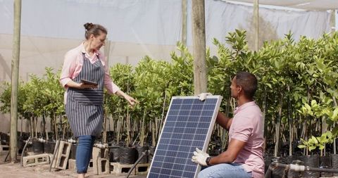 Installing solar panels in greenhouse for eco-friendly gardening