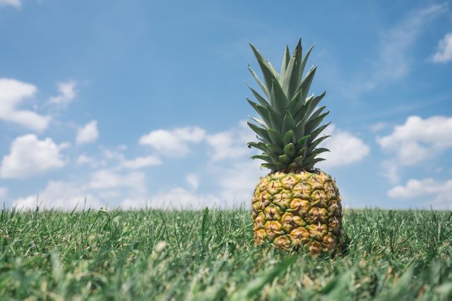 Fresh pineapple standing on green grass with a blue sky and clouds. Ideal for concepts related to summer, tropical themes, healthy eating, outdoor leisure, nature's bounty, and fresh produce marketing.