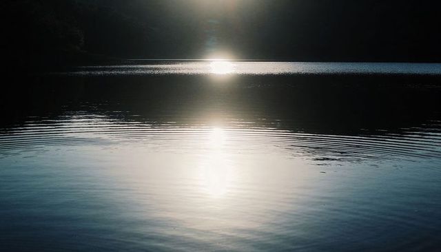 Sunlight reflecting on calm lake creating concentric ripples with forest silhouette minimalist