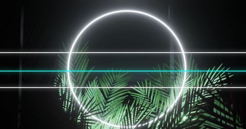 futuristic neon circle and palm fronds in digital nightscape - Download Free Stock Images Pikwizard.com