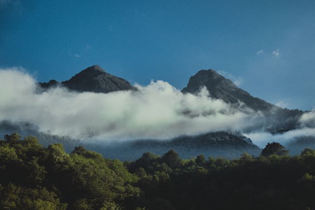 This stunning image captures misty mountain peaks partially covered by clouds, with dense green forest below and a clear blue sky above. Ideal for use in travel and adventure promotions, website backgrounds, posters, or desktop wallpapers.