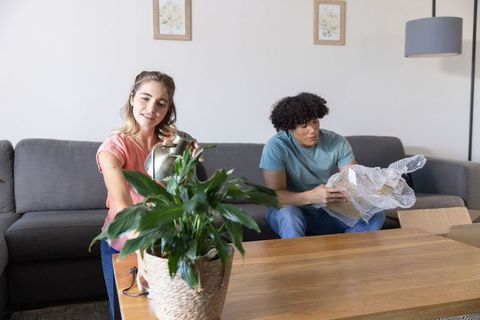 Young couple caring for houseplant while unwrapping home decor on living room sofa