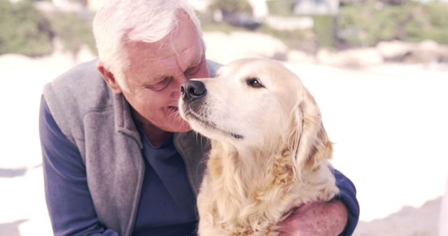 Senior man affectionately touching and enjoying time with his golden retriever dog. Ideal for concepts related to elderly well-being, animal companionship, love between humans and pets, spending time outdoors, and the joy of pet ownership.