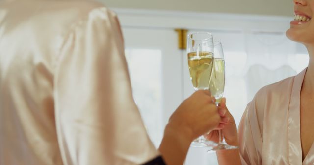 Two Caucasian adults are toasting with champagne glasses, with copy space - Download Free Stock Photos Pikwizard.com