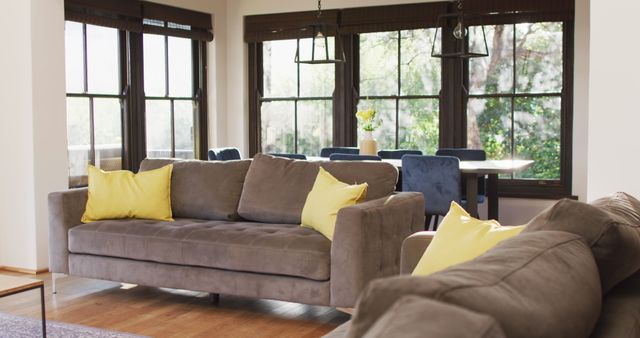 Cozy Modern Living Room with Gray Sofa and Yellow Pillows - Download Free Stock Images Pikwizard.com