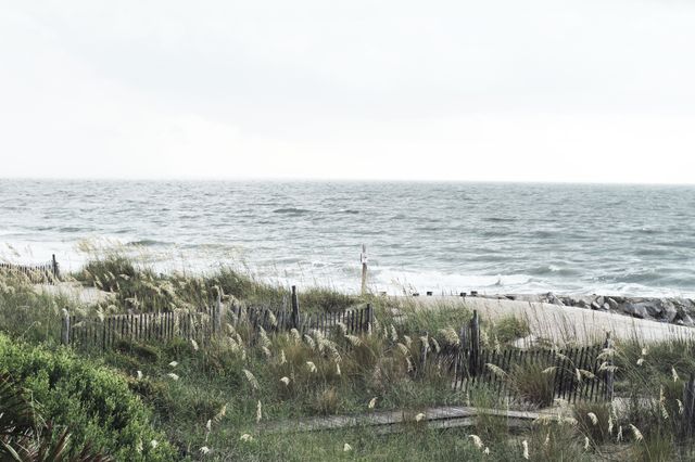 Calm Ocean with Grassy Sand Dunes and Overcast Sky - Download Free Stock Photos Pikwizard.com