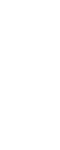 Silhouette of Male Swimmer Celebrating on Transparent Background