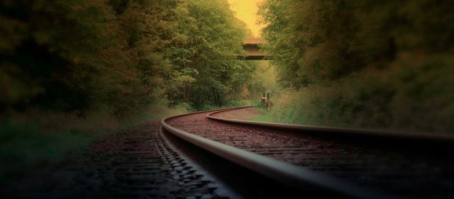 Curved railway tracks blend into an autumn forest under the warm light of a setting sun. Ideal for themes of travel, nature, serenity, and rural landscapes. Suitable for website banners, blog covers, and travel-related content.