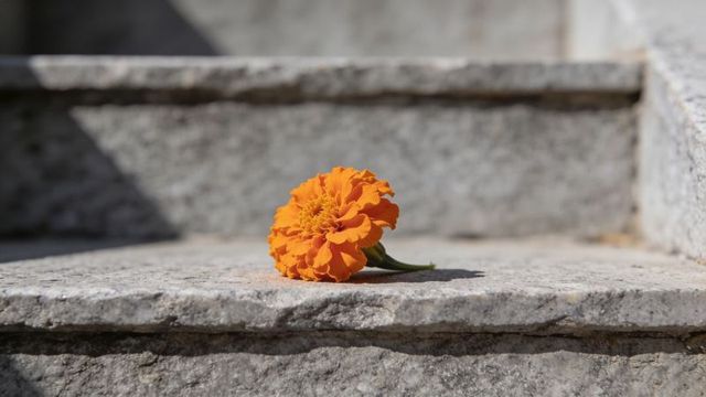 Vibrant orange marigold lying on sunlit granite steps casting short shadow, macro floral detail