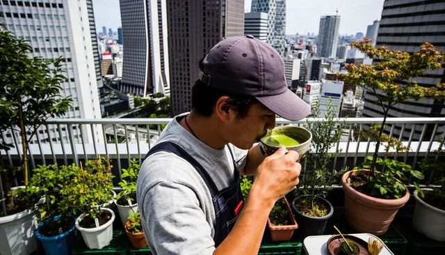 Rooftop urban gardener sipping matcha on high-rise terrace overlooking city skyline