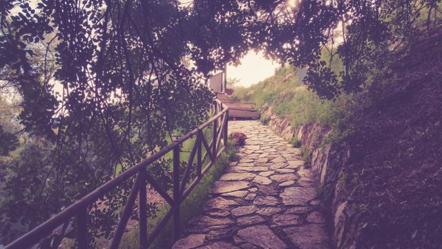 Peaceful Stone Path Through Greenery with Wooden Fence on Sides - Download Free Stock Photos Pikwizard.com
