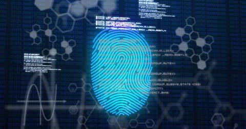 Digital Fingerprint for Secure Cybersecurity Access Technology - Download Free Stock Images Pikwizard.com