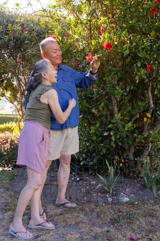 Elderly asian couple admiring red hibiscus in sunlit backyard, joyful gardening moment