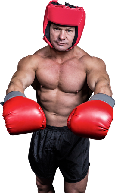 Confident Boxer in Red Gloves with Transparent Background - Download Free Stock Videos Pikwizard.com