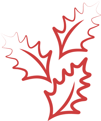Festive Holly Leaves Illustration on Transparent Background