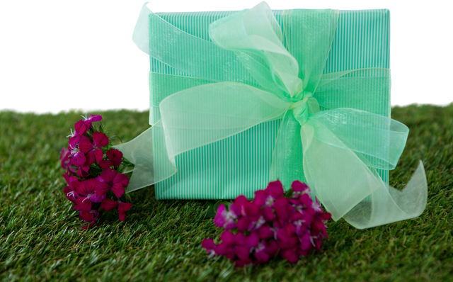 Transparent Blue Gift Box and Pink Flowers on Grass - Download Free Stock Videos Pikwizard.com