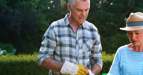 Senior Couple Enjoying Gardening Together in Sunny Yard