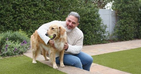 Mature Man Kneeling on Patio Embracing Golden Retriever with Tennis Ball in Backyard Garden