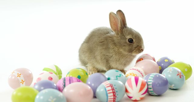 A small bunny sits among colorful Easter eggs, with copy space. Its presence adds a charming touch to the festive Easter theme.