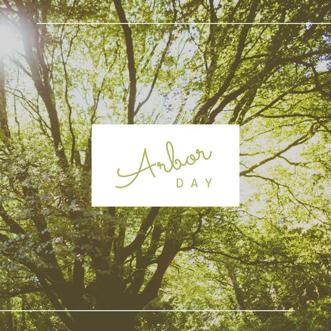 arbor day celebration in sunlit forest - Download Free Stock Templates Pikwizard.com