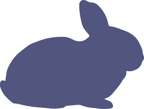 purple rabbit silhouette on transparent background for easter designs - Download Free Stock Videos Pikwizard.com