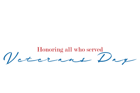 veterans day text illustration on transparent background - Download Free Stock Videos Pikwizard.com