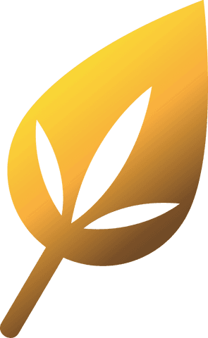 Yellow Leaf Illustration on Transparent Background, Nature Concept - Download Free Stock Videos Pikwizard.com