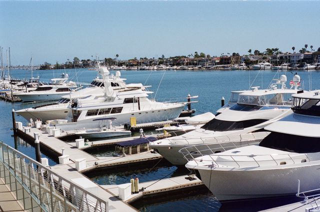 Luxe Yachts Docked at Sunny Marina with Waterfront View - Download Free Stock Photos Pikwizard.com