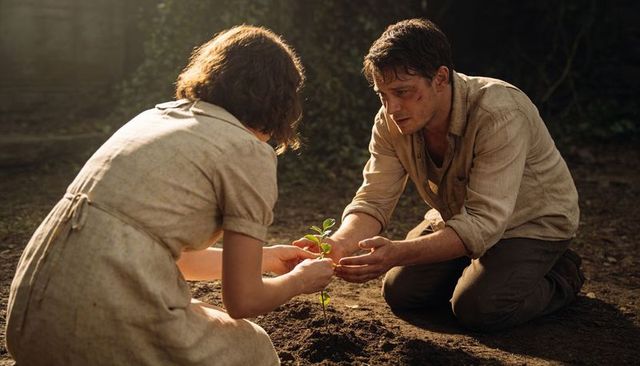 Couple planting young sapling together in shaded woodland, nurturing new growth