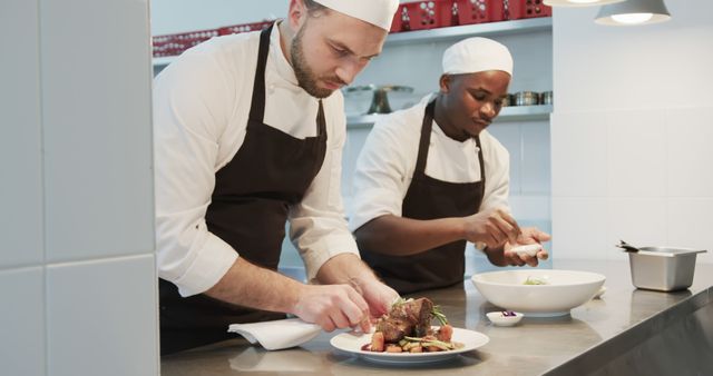 Professional Chefs Plating Gourmet Dishes in Industrial Kitchen - Download Free Stock Images Pikwizard.com