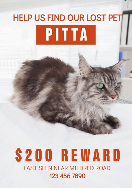 Useful for printing or distributing digitally to help locate lost cats. Ideal for pet owners, veterinarians, and animal shelters. Poster highlights missing cat, named Pitta, with $200 reward and contact information. To be displayed in neighborhoods, on bulletin boards, and in pet-related businesses.