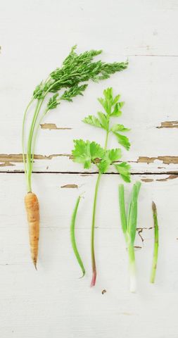 Fresh Organic Vegetables on White Rustic Background - Download Free Stock Images Pikwizard.com