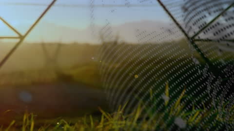 Digital Globe and Data Overlaid on Sunset Electricity Pylons