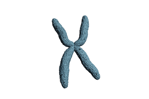 digital illustration of blue dna chromosome on transparent background - Download Free Stock Videos Pikwizard.com