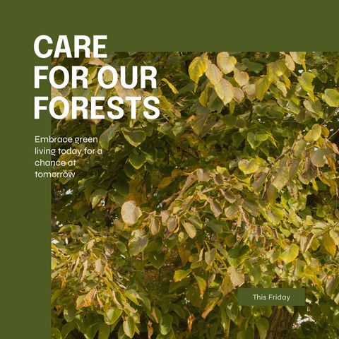 Lush Forest Leaves Encouraging Green Living and Environmental Awareness - Download Free Stock Templates Pikwizard.com