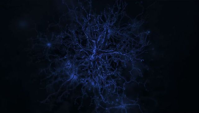Glowing blue neuron network showing dendrites and synaptic puncta in confocal microscopy