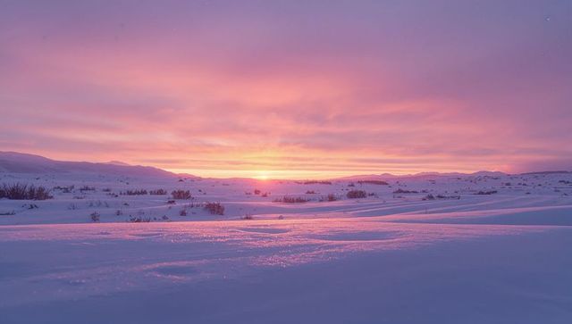 Glowing Pastel Sunrise Over Snowy Tundra Reflecting Rippled Frost and Distant Shrub Silhouettes