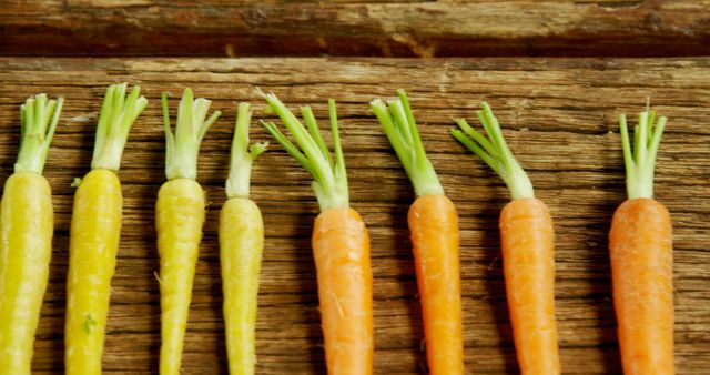 Carrots of varying sizes and colors are neatly arranged in a row on a rustic wooden surface. This arrangement showcases the natural variety found in vegetables and emphasizes healthy eating choices.