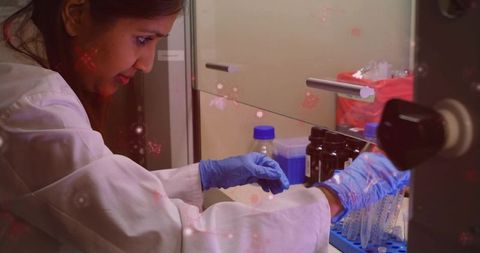 Female laboratory technician working in biosafety cabinet handling tubes with blue gloves