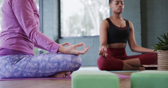 Two Women Practicing Yoga and Meditation Indoors - Download Free Stock Images Pikwizard.com