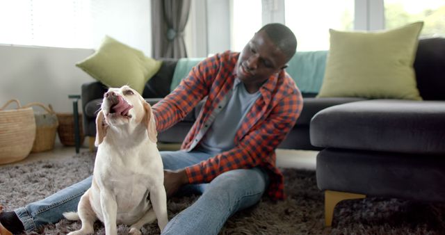 Man petting a dog on a carpet in a cozy living room with a sofa and tranquil ambiance. Ideal for use in content promoting pet care, companionship, relaxation at home, or interiors design. Suitable for articles on bonds between humans and pets or advertisements and content for pet products.