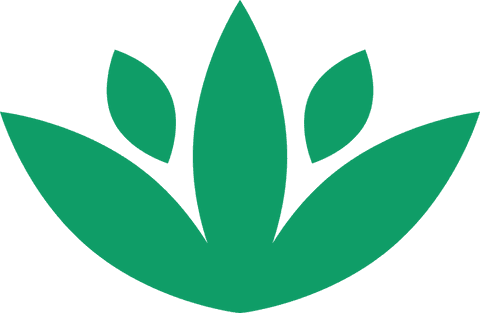 Abstract green plant logo design on transparent background