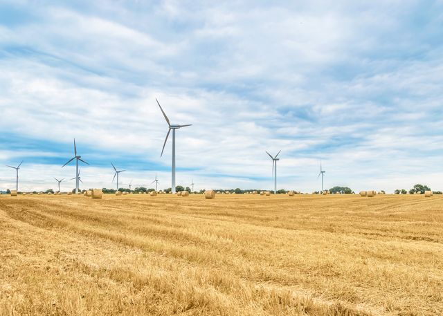 This serene image showcases a rural field dotted with hay bales, set against a backdrop of tall wind turbines and a cloudy sky. Ideal for illustrating renewable energy, sustainable farming practices, or the harmonious coexistence of agriculture and green technology. Great for environmental campaigns, farm equipment promotions, or as a backdrop for discussions on sustainability and rural life.