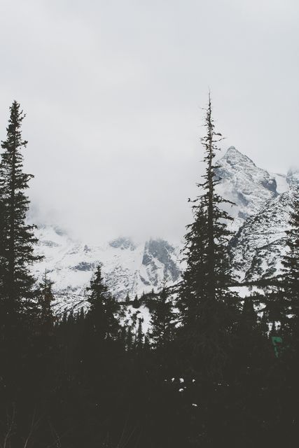 Captivating mountain scenery with snow-covered peaks and tall evergreen trees. Useful for websites conveying winter travel destinations, seasonal nature themes, or nature conservation topics. Ideal as a serene winter background or wallpaper.