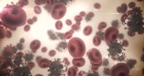 Coronavirus COVID-19 Interacting with Red Blood Cells in Vein