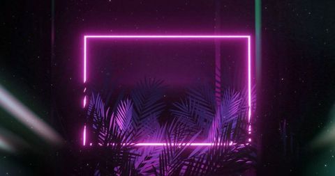 Neon Frame with Tropical Leaves Against Black Background - Download Free Stock Images Pikwizard.com