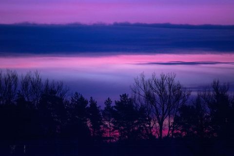 Tree silhouettes framing glowing purple-pink twilight sky with layered cloud bands