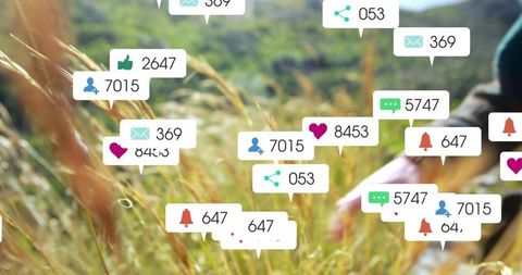Social media notifications hovering over sunlit meadow while hand brushes tall grass