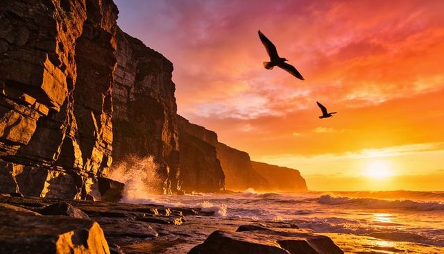 Dramatic golden sunset lighting rugged sea cliffs with soaring seabirds and crashing waves