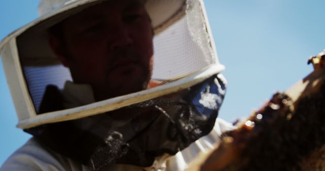 Beekeeper Inspecting Honeycomb Outdoors - Download Free Stock Images Pikwizard.com